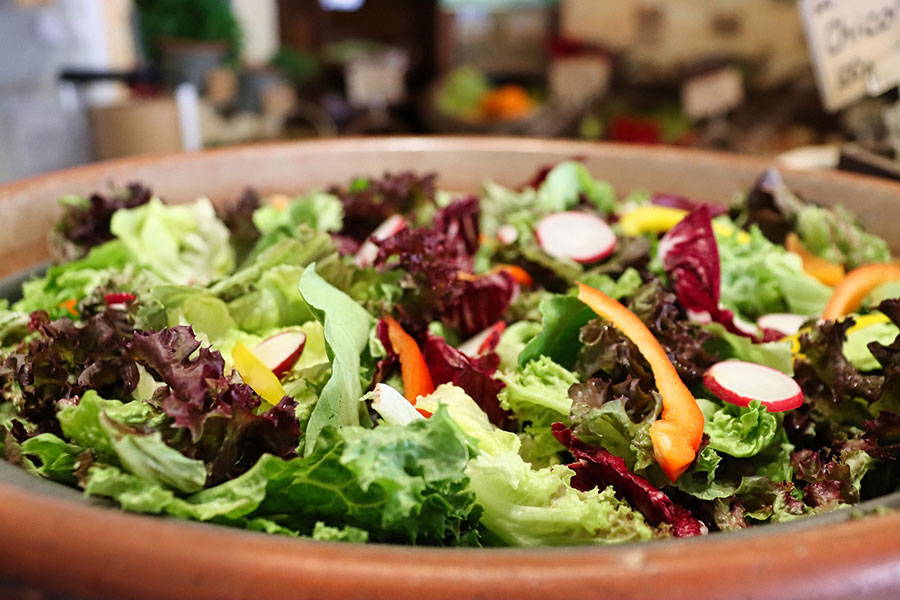 A close-up of a bowl of salad with green lettuce, red lettuce, red peppers and radishes.